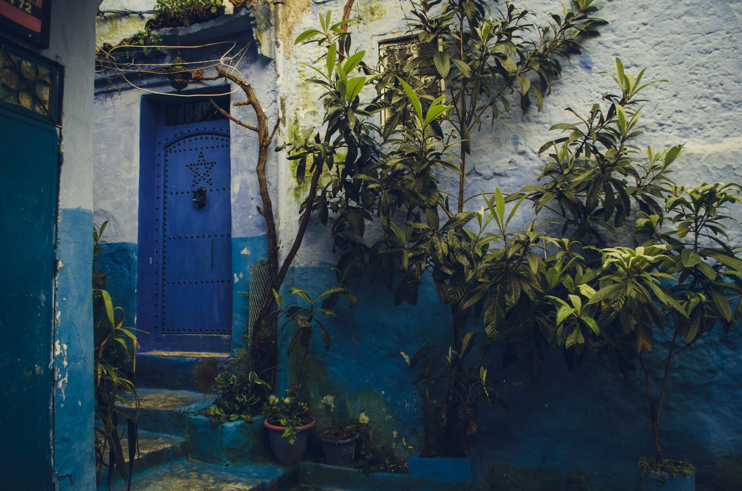 1 Day Trip to Chefchaouen From fes