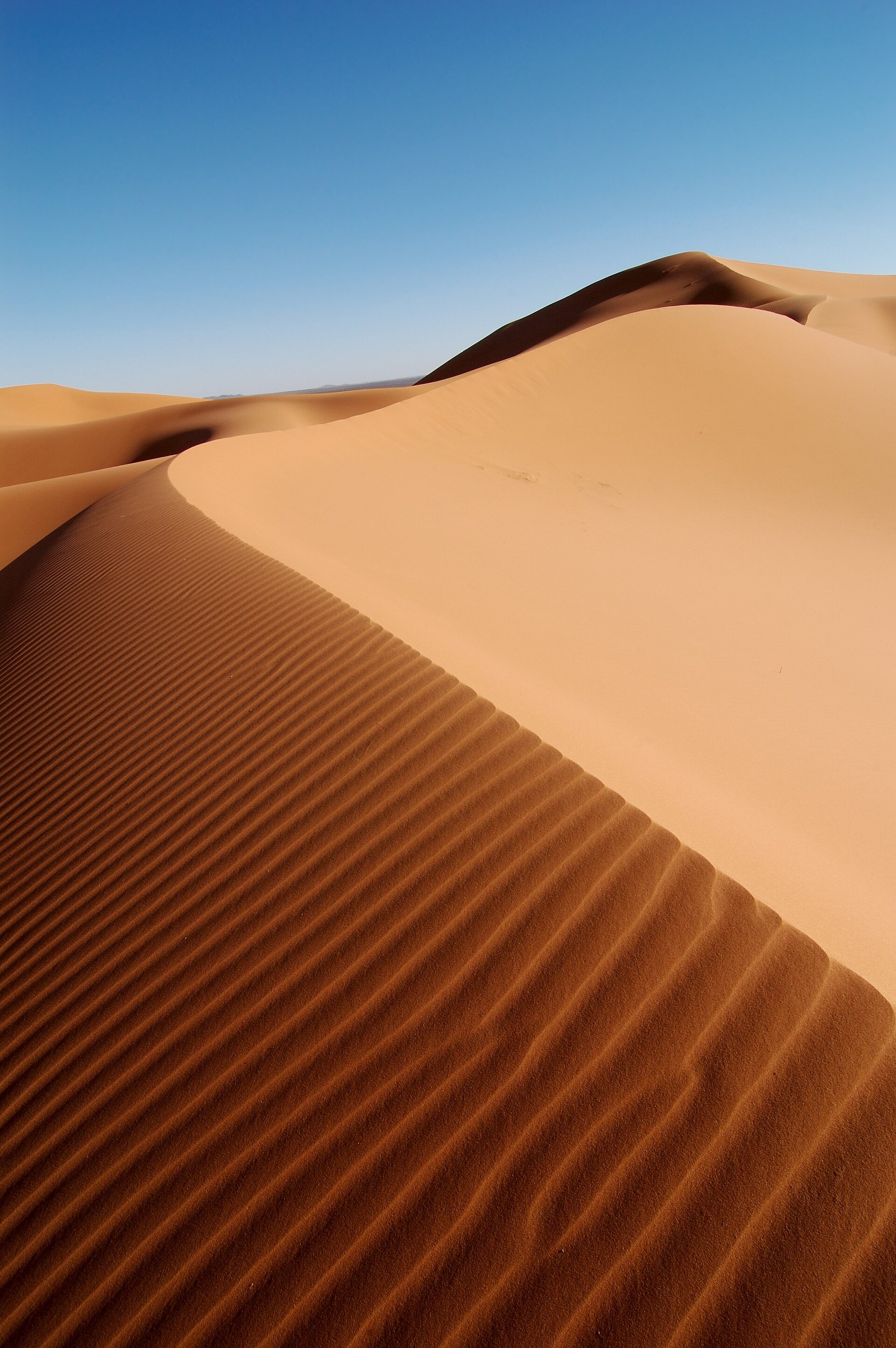 Minimalist dune crest in the Sahara