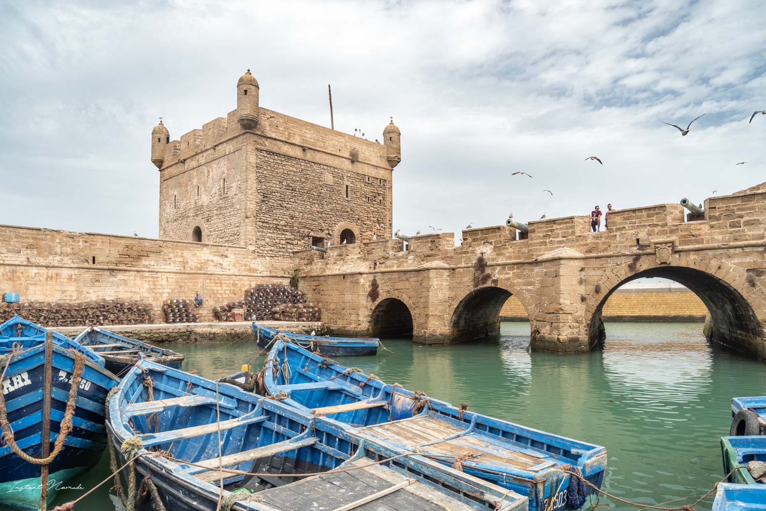 Essaouira day trip from Marrakech: what a day on the Atlantic looks like