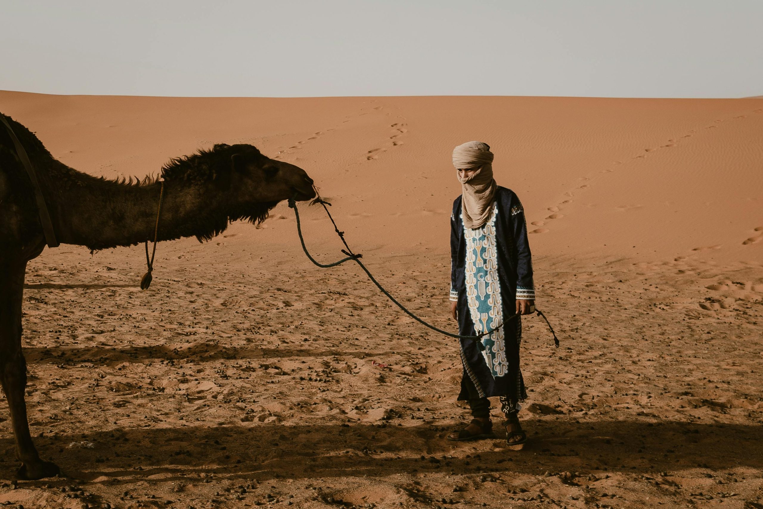 Tours From Casablanca 6 Days Tour From Casablanca To Sahara Desert & Fes