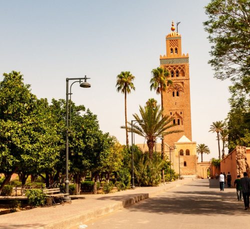 tours from marrakech